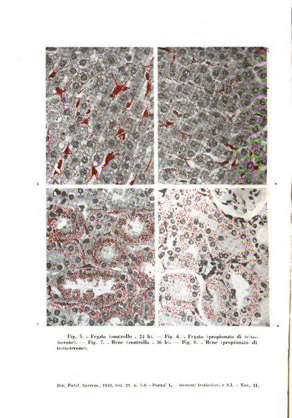 Rivista di patologia sperimentale