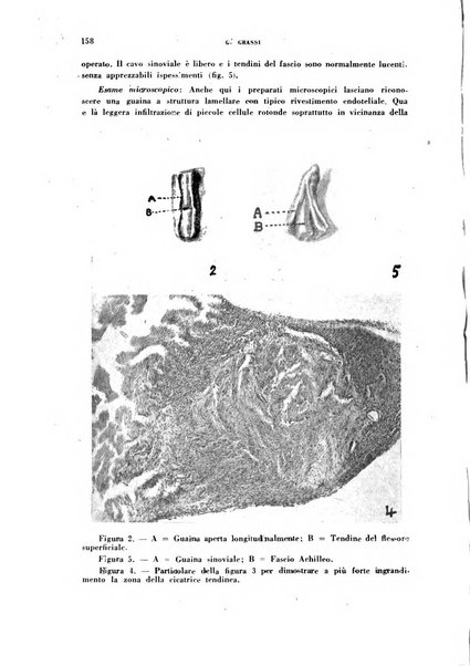 Rivista di patologia sperimentale