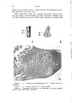 giornale/TO00194139/1943/unico/00000220