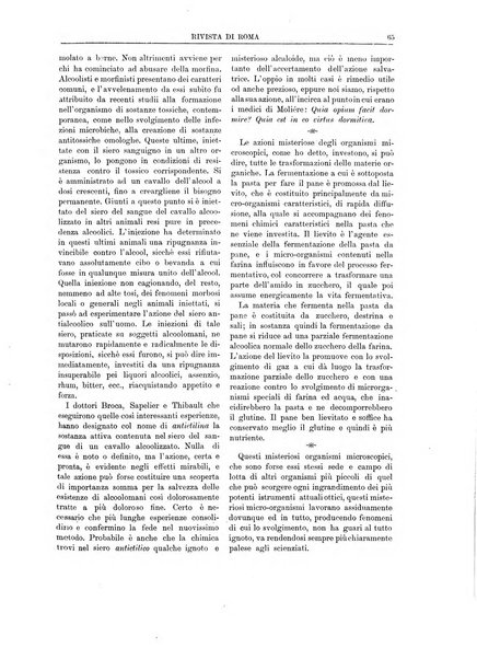 Rivista di Roma politica, parlamentare, sociale, artistica