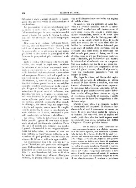 Rivista di Roma politica, parlamentare, sociale, artistica