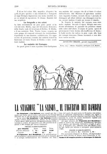 Rivista di Roma politica, parlamentare, sociale, artistica