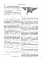 giornale/TO00194153/1904/unico/00000234