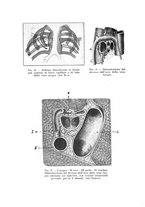 giornale/TO00194155/1933/unico/00000152