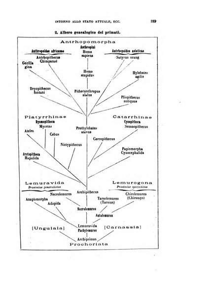 Rivista di scienze biologiche