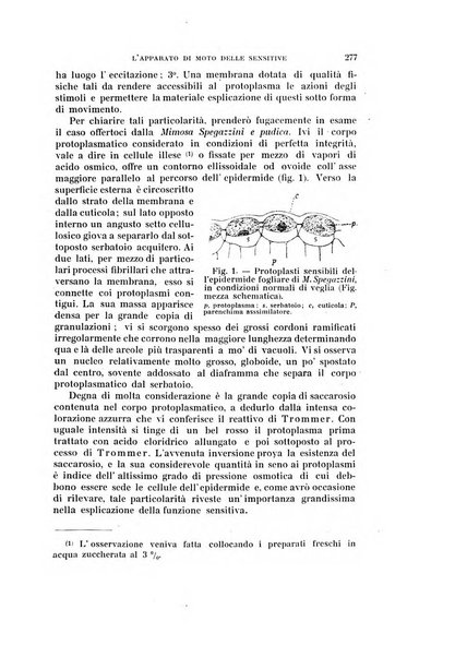 Rivista di scienze biologiche