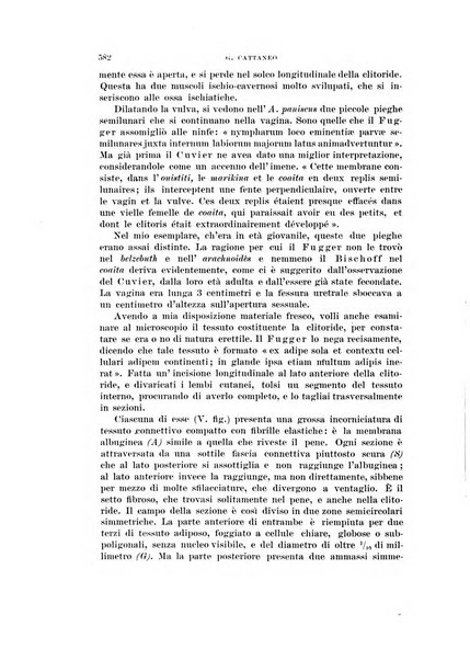 Rivista di scienze biologiche