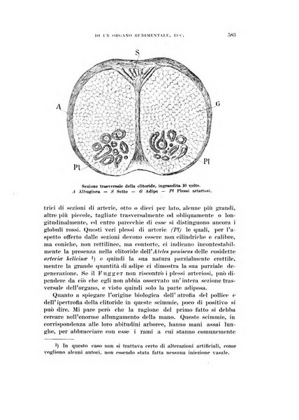 Rivista di scienze biologiche