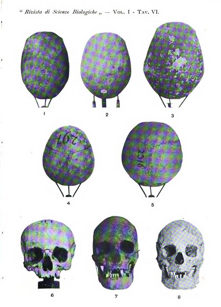 Rivista di scienze biologiche