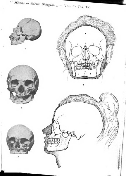 Rivista di scienze biologiche