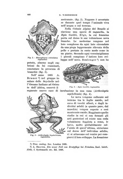 Rivista di scienze biologiche