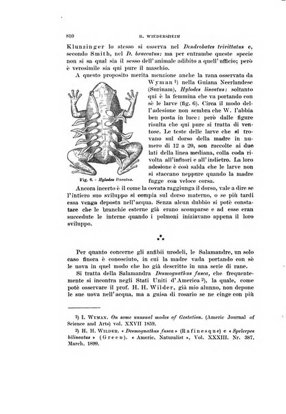 Rivista di scienze biologiche