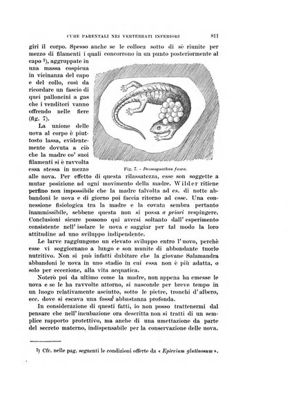 Rivista di scienze biologiche