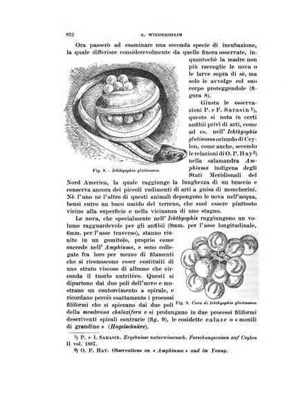 Rivista di scienze biologiche