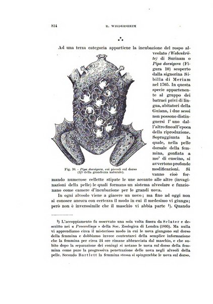 Rivista di scienze biologiche