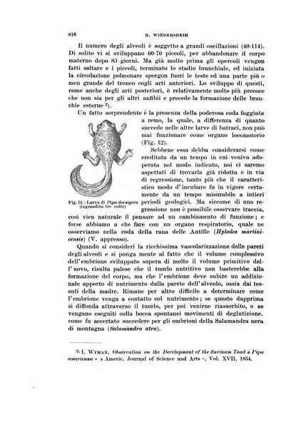 Rivista di scienze biologiche