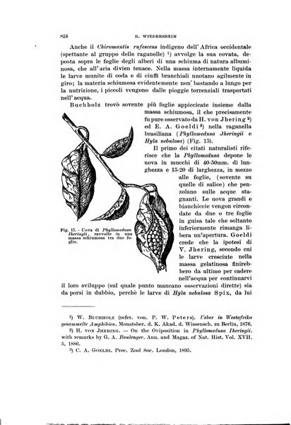 Rivista di scienze biologiche