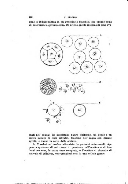 Rivista di scienze biologiche