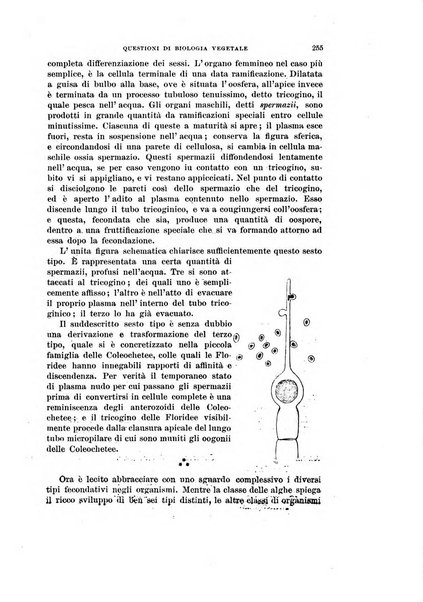 Rivista di scienze biologiche