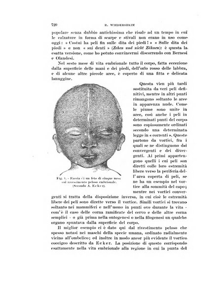 Rivista di scienze biologiche