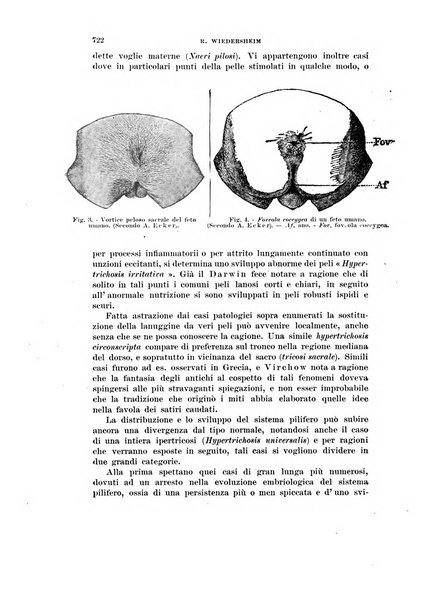 Rivista di scienze biologiche