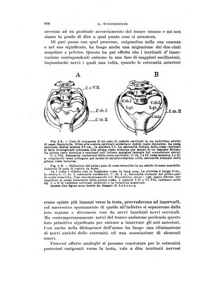 Rivista di scienze biologiche