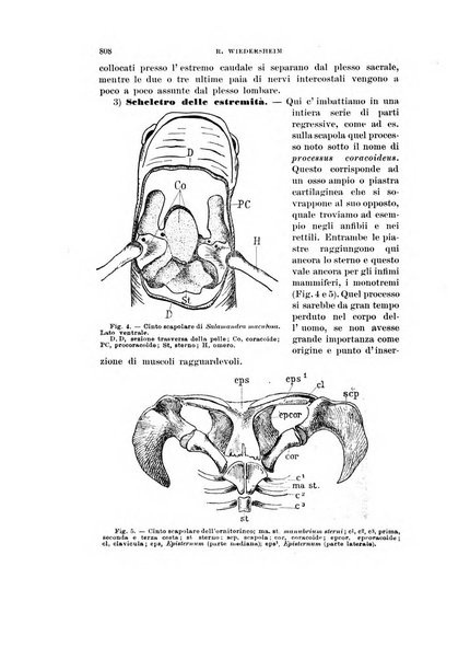 Rivista di scienze biologiche