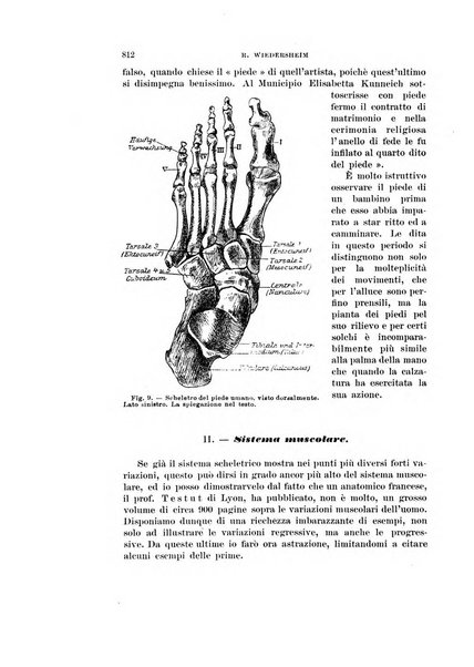 Rivista di scienze biologiche