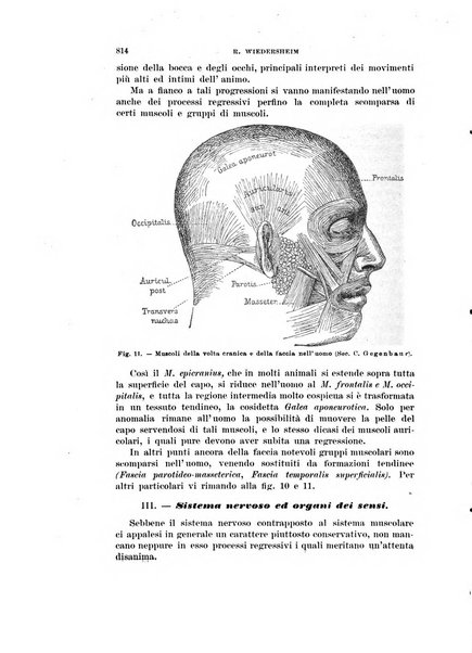 Rivista di scienze biologiche