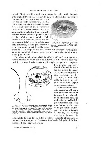 Rivista di scienze biologiche