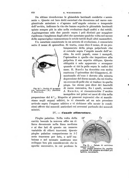 Rivista di scienze biologiche