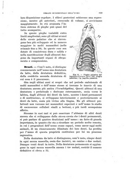 Rivista di scienze biologiche