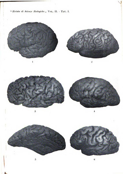 Rivista di scienze biologiche