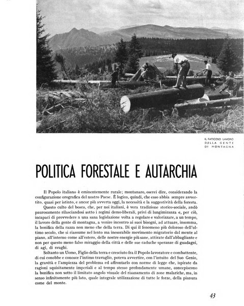 La rivista forestale italiana