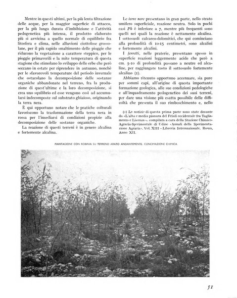 La rivista forestale italiana