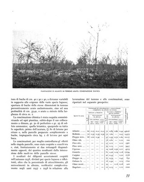 La rivista forestale italiana