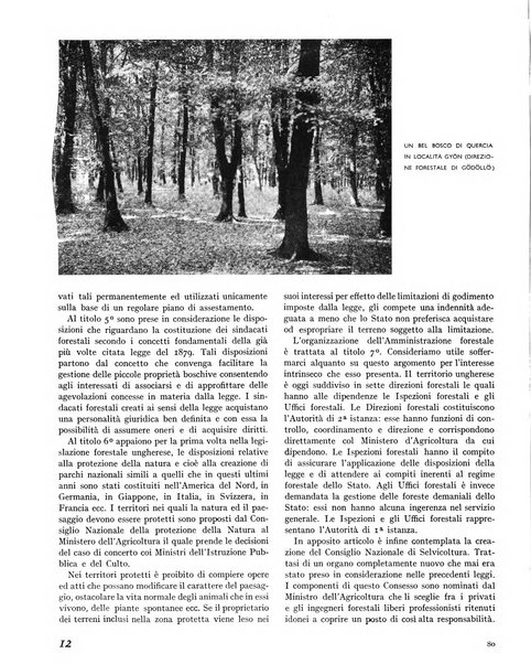 La rivista forestale italiana