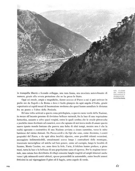 La rivista forestale italiana