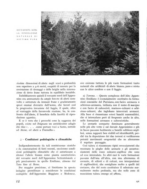 La rivista forestale italiana