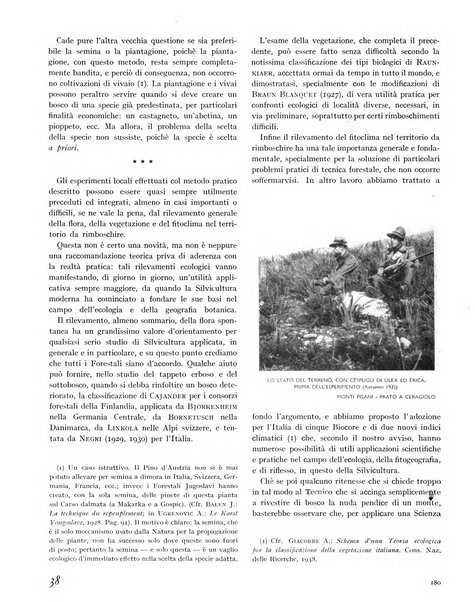 La rivista forestale italiana