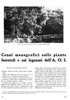 giornale/TO00194294/1939/unico/00000205