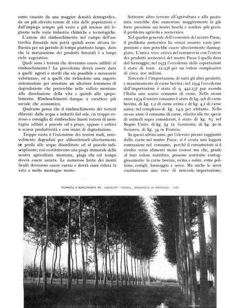 La rivista forestale italiana