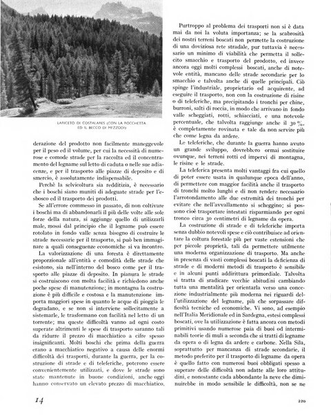 La rivista forestale italiana