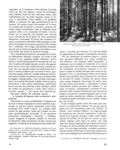 La rivista forestale italiana