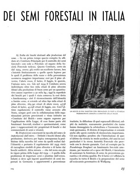 La rivista forestale italiana