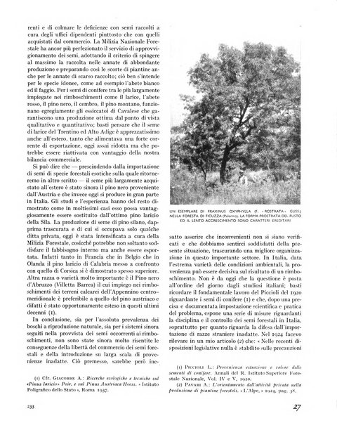 La rivista forestale italiana