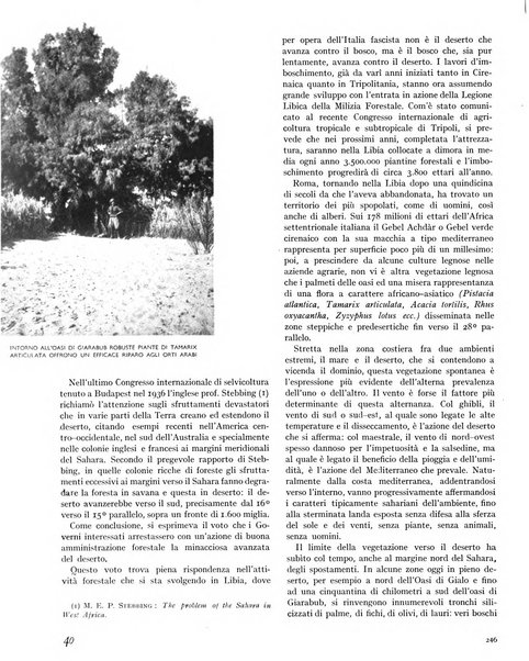 La rivista forestale italiana