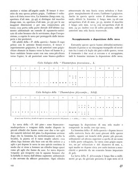 La rivista forestale italiana