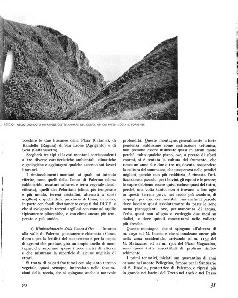 La rivista forestale italiana