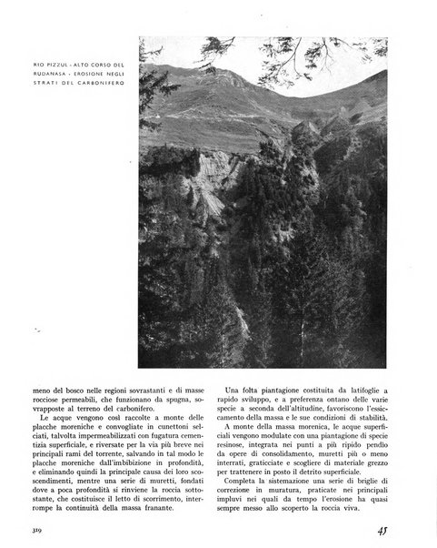 La rivista forestale italiana